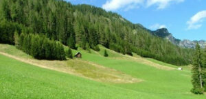 Retemedia sviluppa il portale ufficiale dell'Associazione Nazionale delle Cooperative Agroalimentari per lo Sviluppo Rurale.