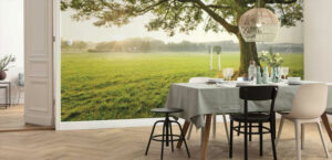 Spidersell Italia è uno store virtuale di decorazione per la casa e per le aziende. Decorazione creativa a prezzi imbattibili! Carta da parati