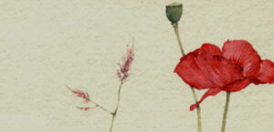 Sito per attività professionale di psicologia e psicoterapia - Dott. Victoriano Reynoso