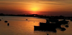 Pesca Innovazione Futuro